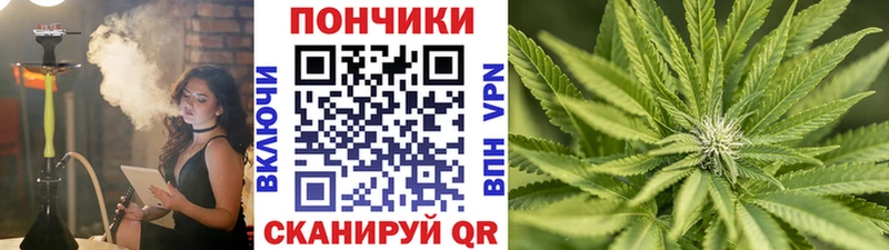 Бошки Шишки THC 21% Барабинск